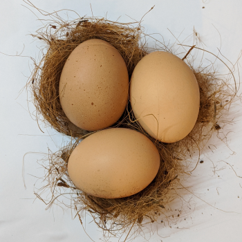 10 значения на яйцето в 10 световни митологии