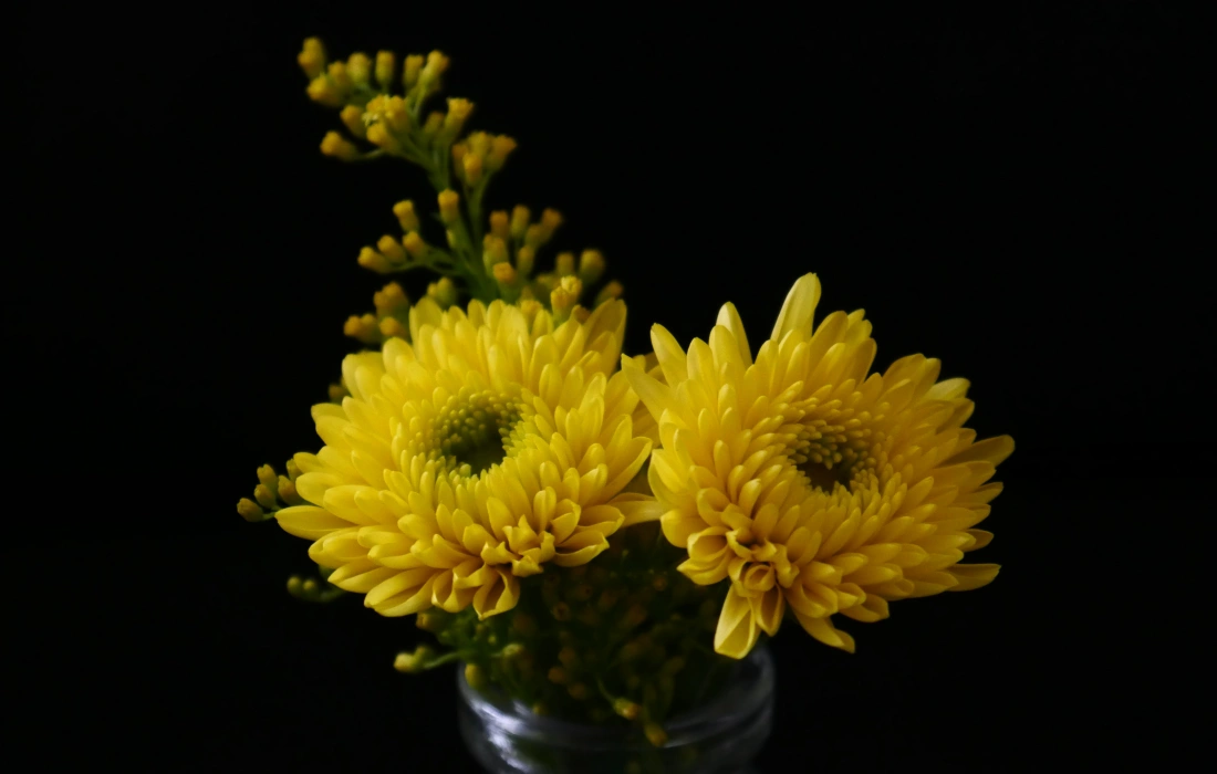10 цветя, които задължително трябва да имате в дома си