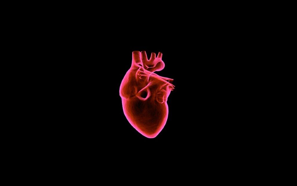 10 любопитни факта за сърцето