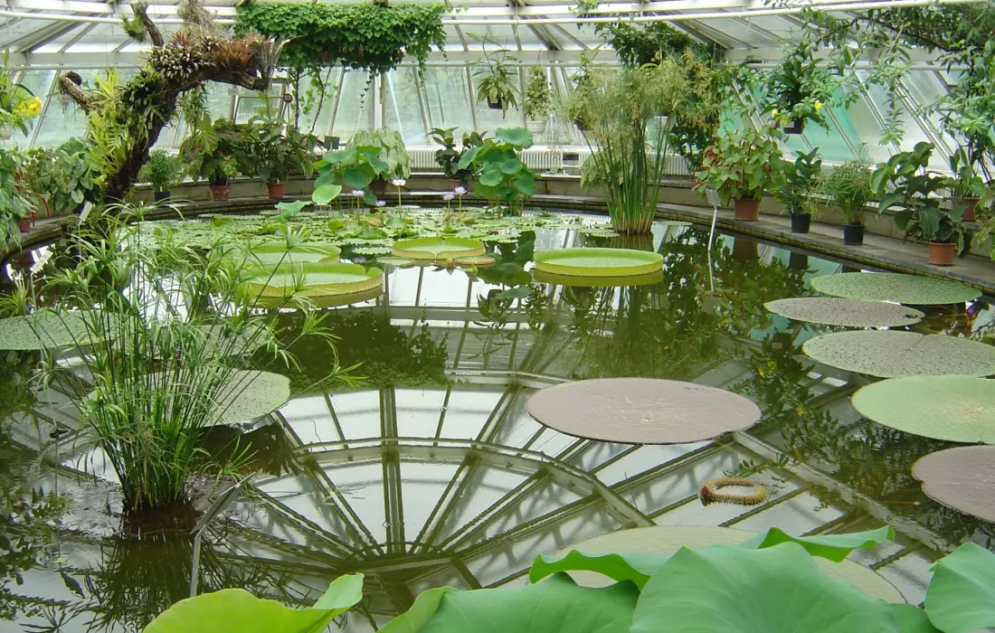 10-те най-известни ботанически градини в света