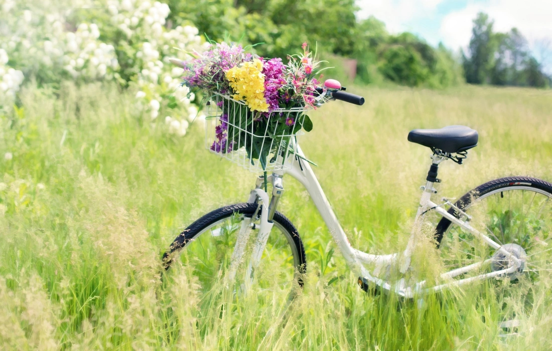 10 причини да караме велосипед още днес