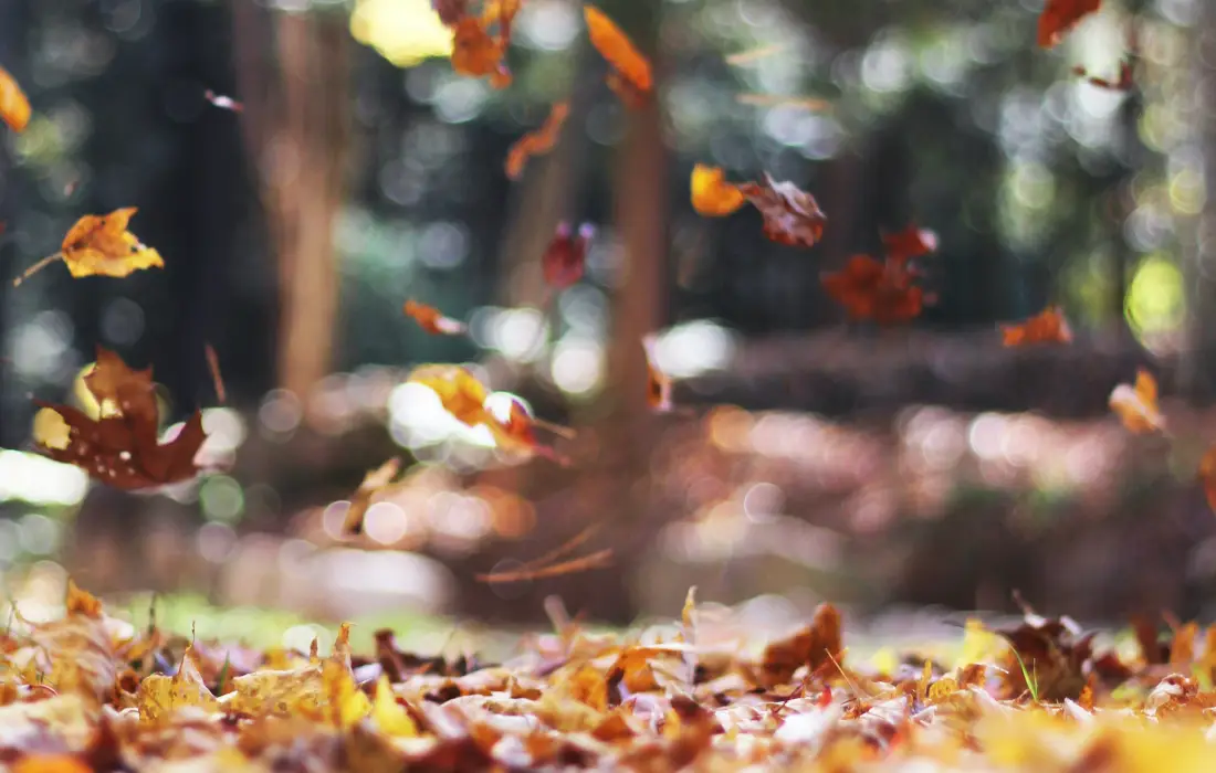 10 неща, които ни напомнят за есента