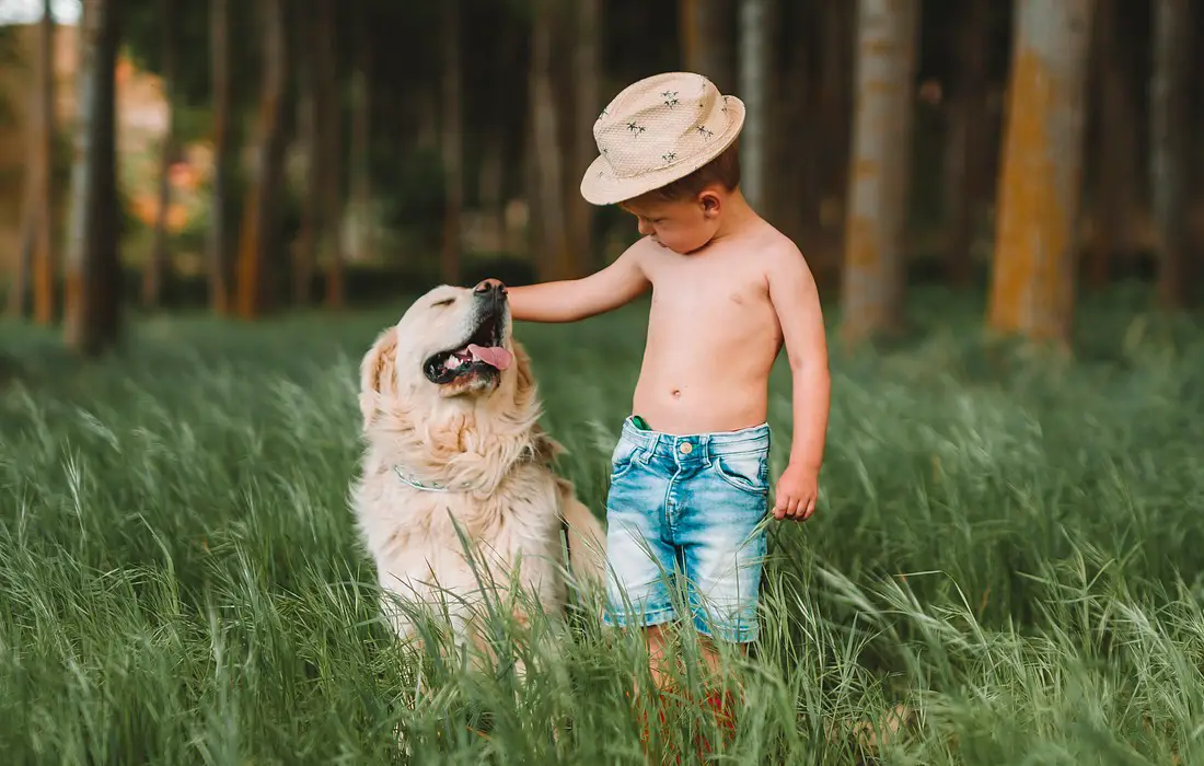10 предимства на съвместното отглеждане на кучета и деца