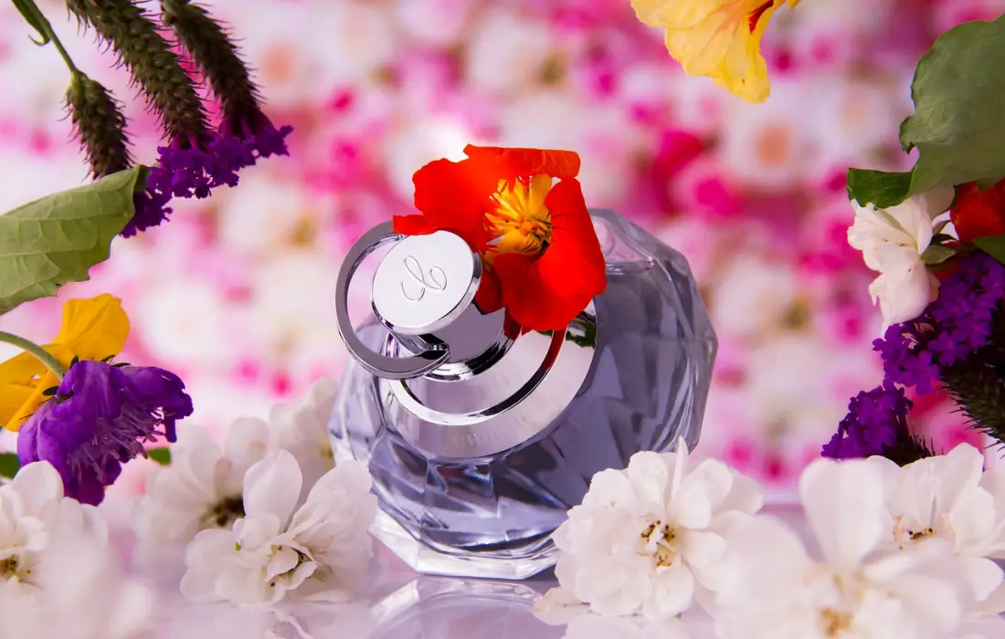 10 от най-добрите нишови парфюми през 2024 година