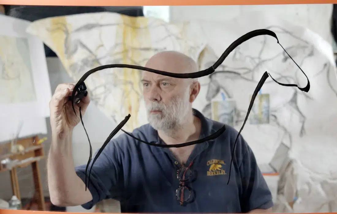 10 факта за пещерата Шове