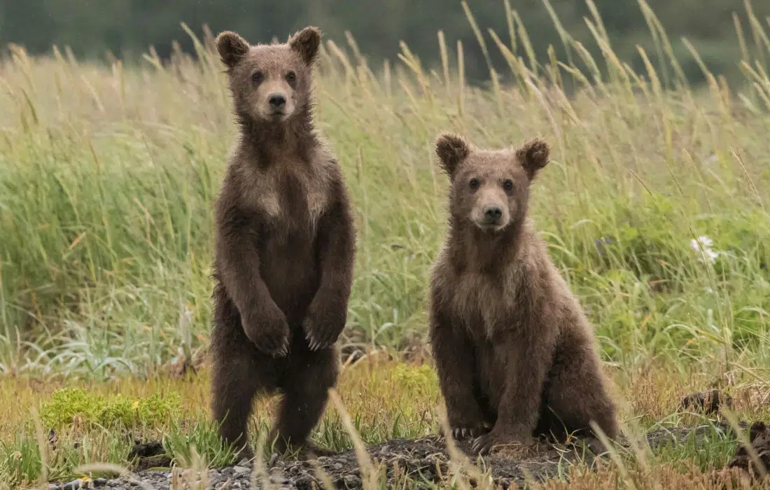 10 изречения = история: Научна суматоха в Райската градина (микроразказ)