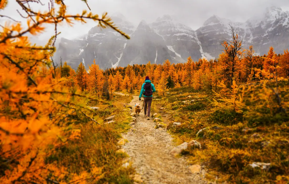 10 малки навика, които доказано подобряват паметта