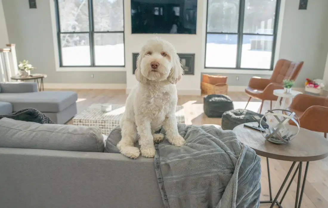 10 причини да превърнете почистването на дома в автоматизиран процес