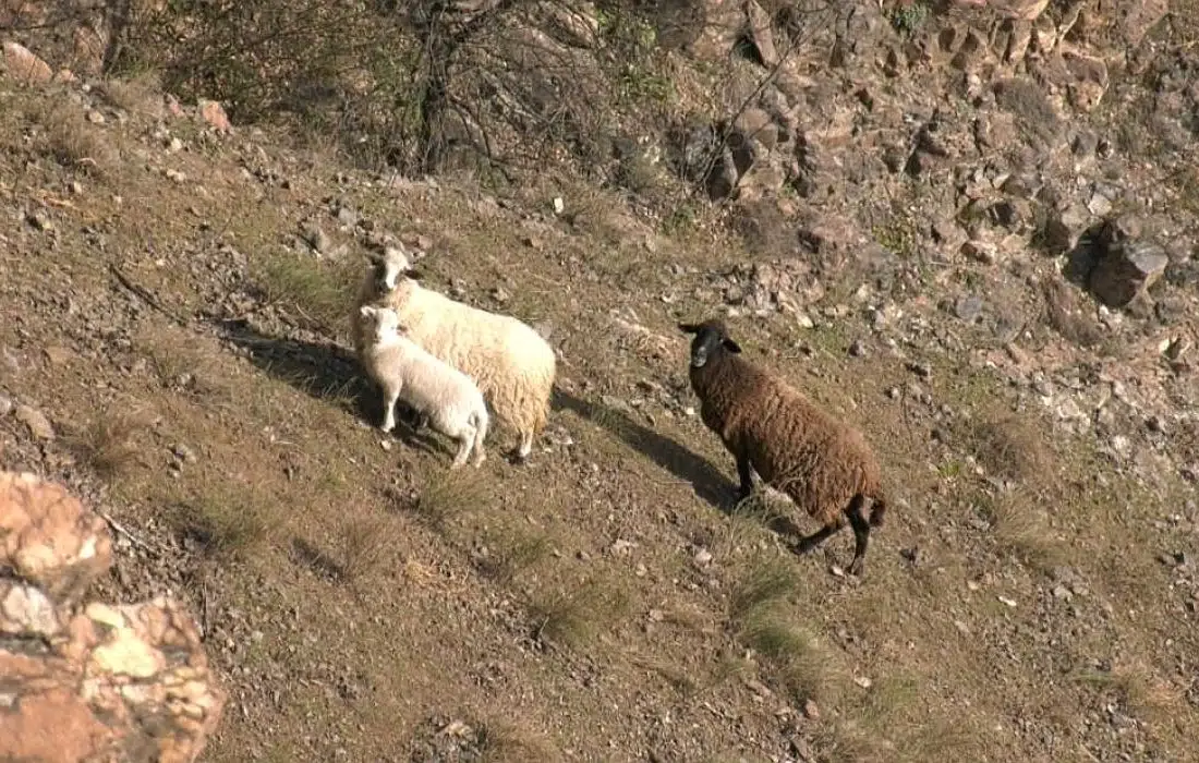 10 изречения = история: В пропастта (микроразказ)