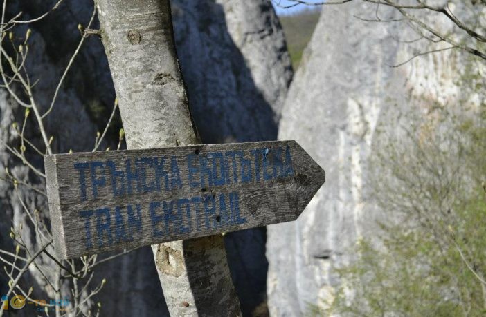 Пролетта е вече тук, дърветата разцъфтяха, слънцето напича, примамващо за