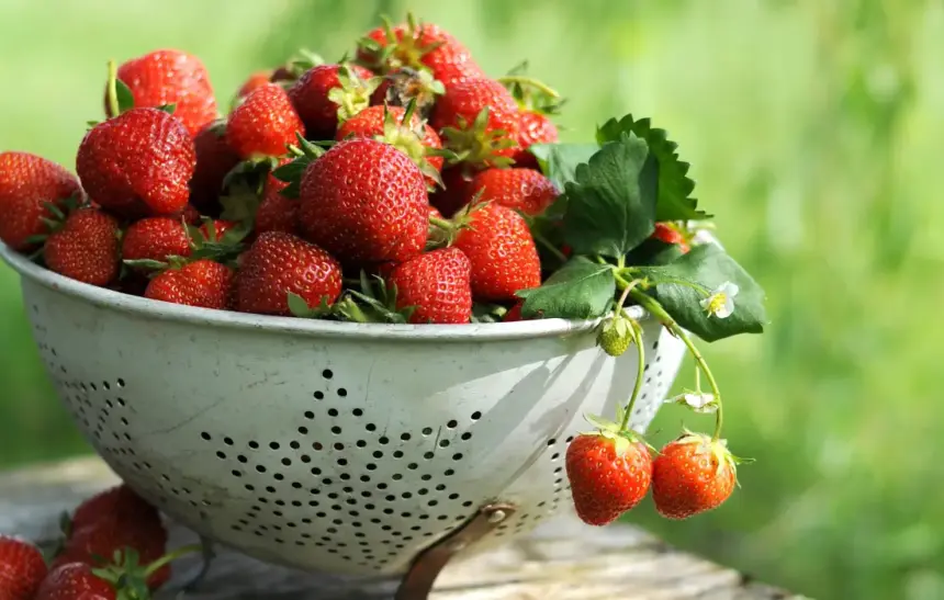 10 уникални десерта с пресни ягоди