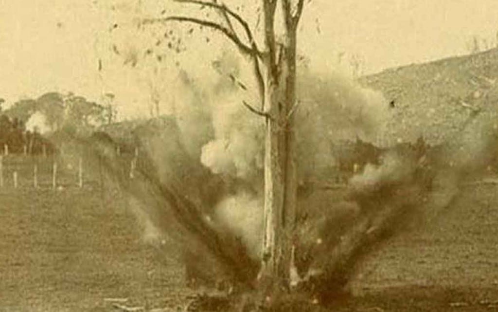  10 истории, към които няма по какъв начин да останеш апатичен 