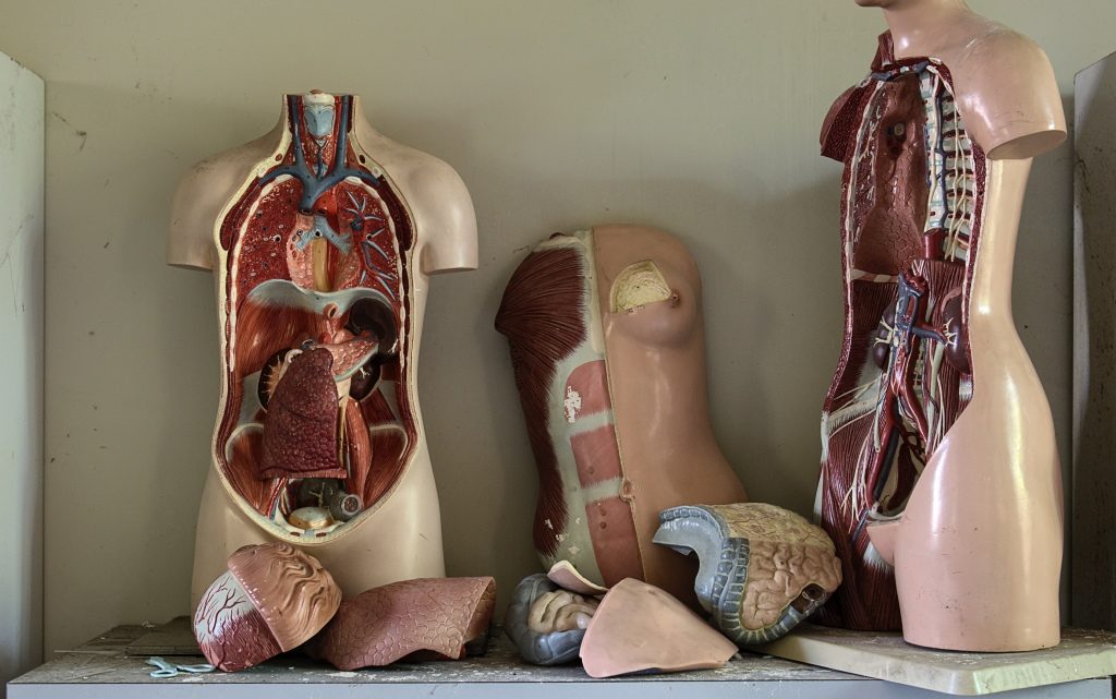  10 недостатъци в човешкото тяло 