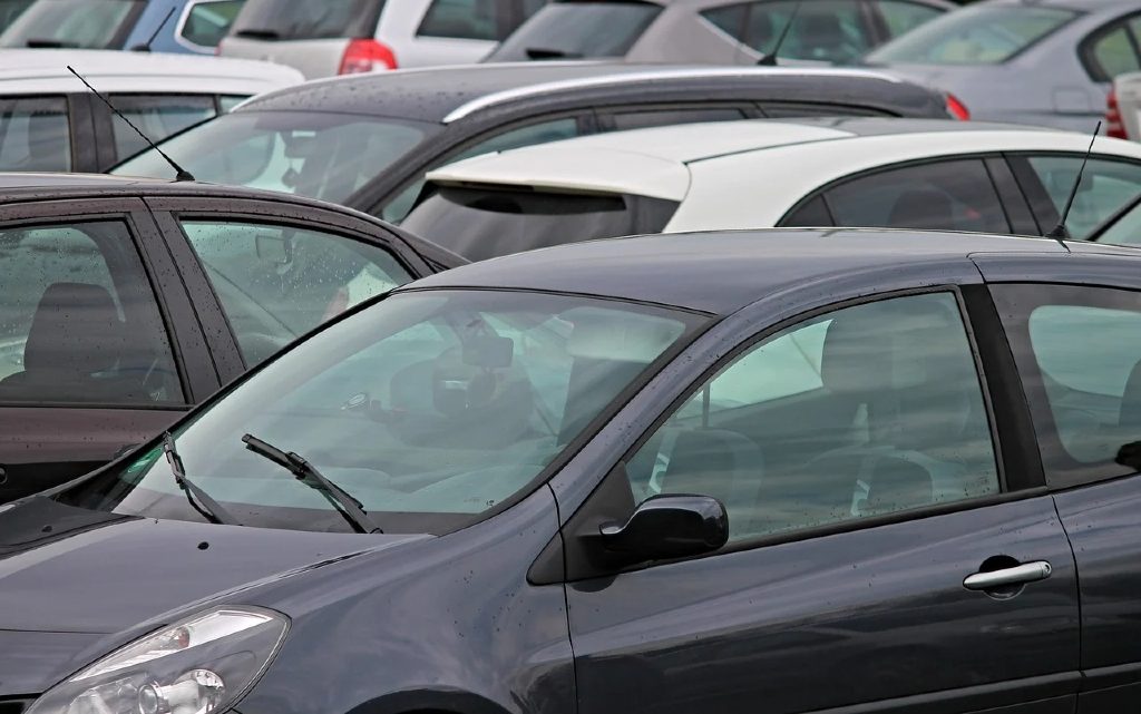  10 метода да живеем в симбиоза с природата 