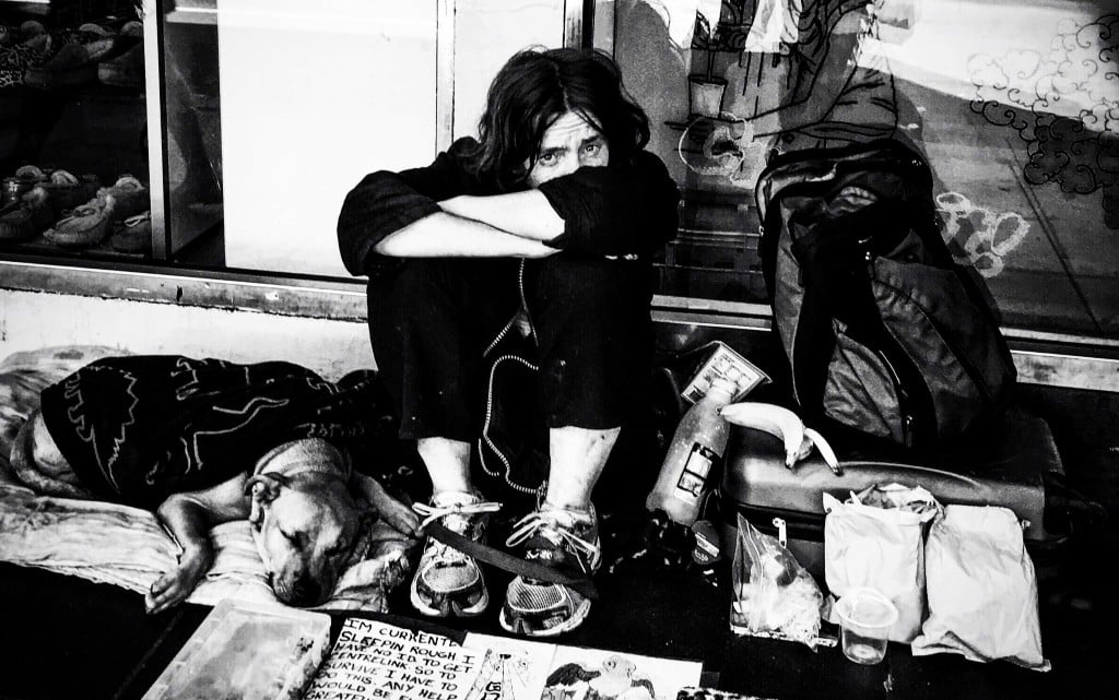  10 обстоятелството за бездомните животни 