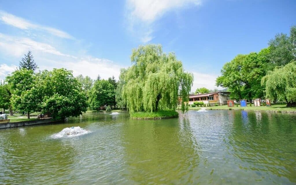  10 забележителности във и към Разлог 