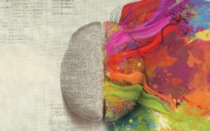 10 разлики между мъжкия и женския мозък