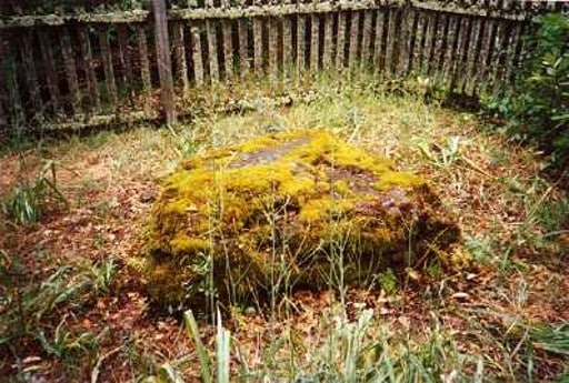  10 любопитни обстоятелството за Джек Лондон 