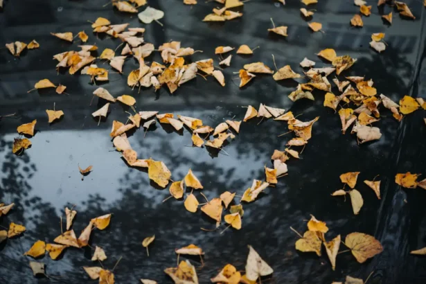 10 начина да кажем "обичам те" без думи