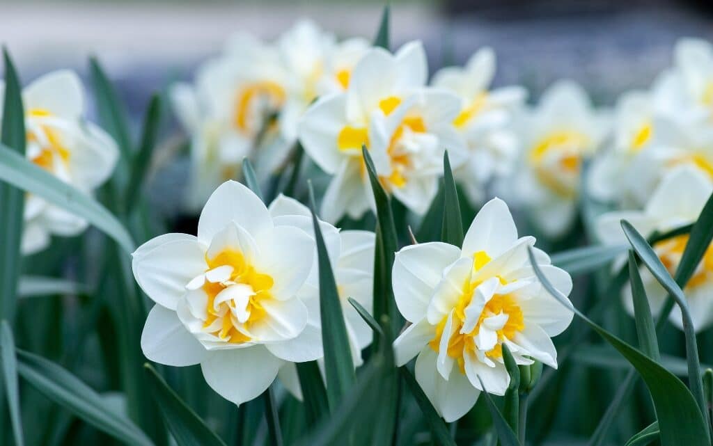  10 български пролетни празници 