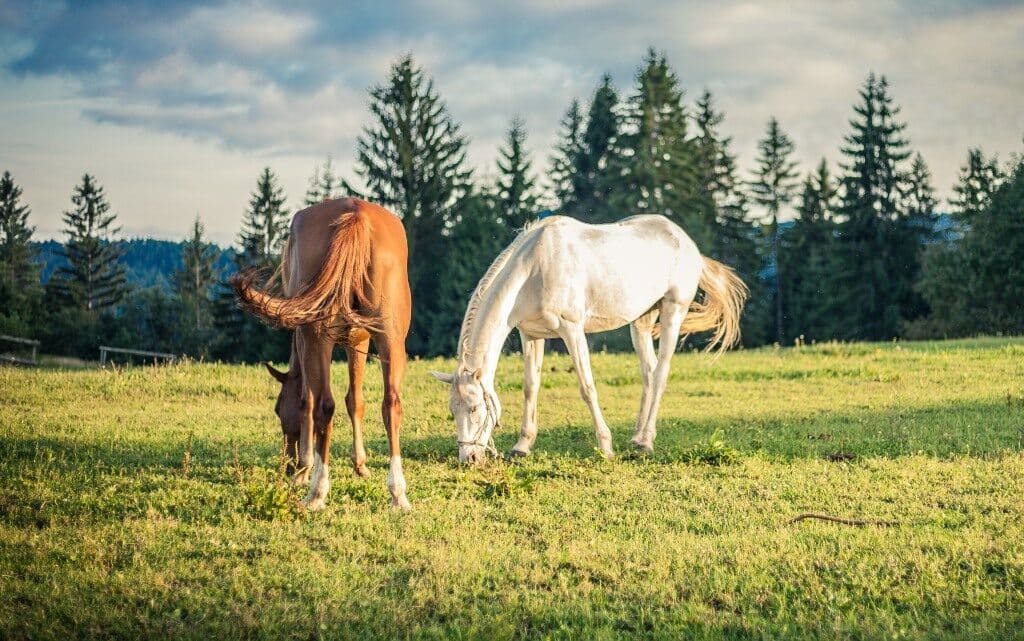  10 български пролетни празници 