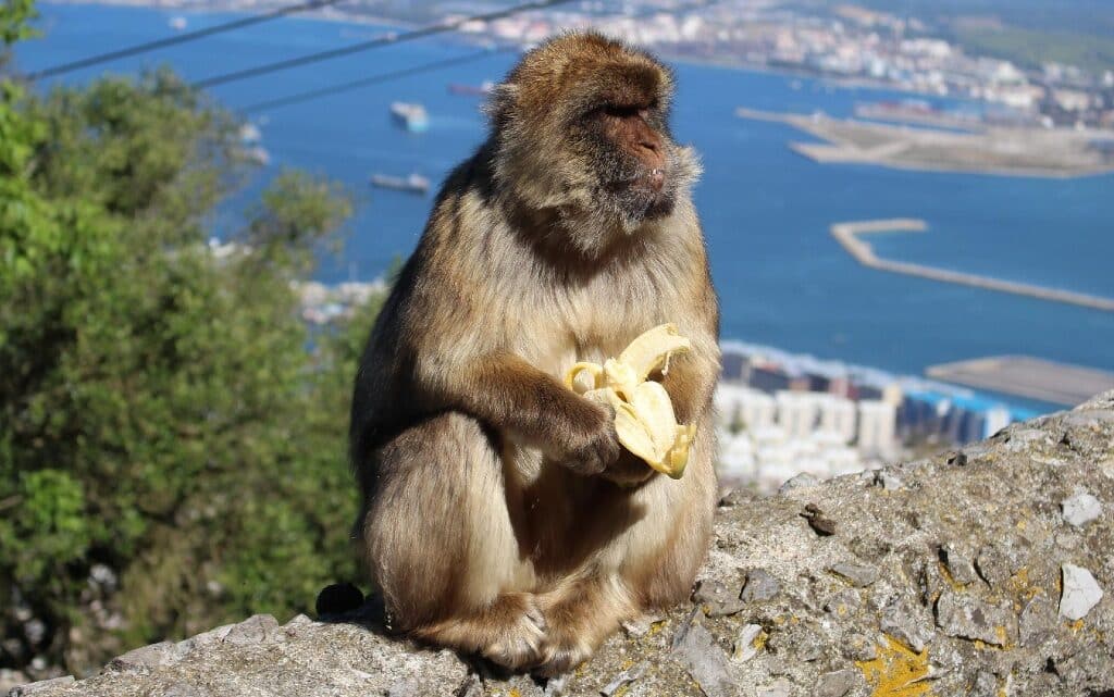  10 места, на които да отидеш, в случай че си в Севиля 