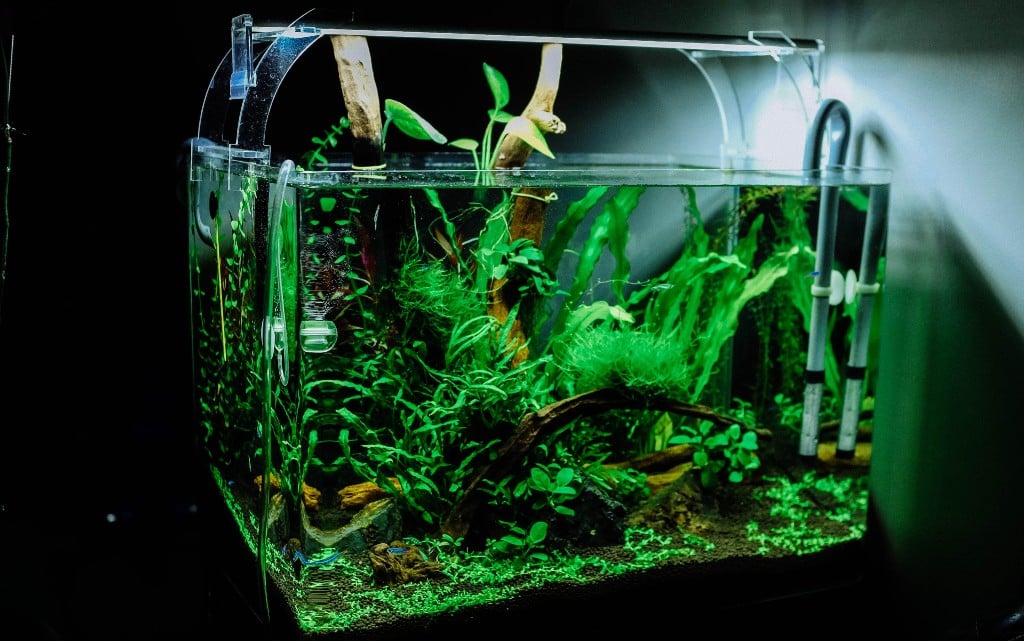  10 метода да се оправим със сухия въздух у дома 