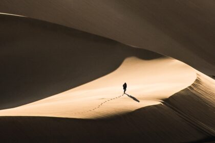 10 неща, които трябва да знаем за постите