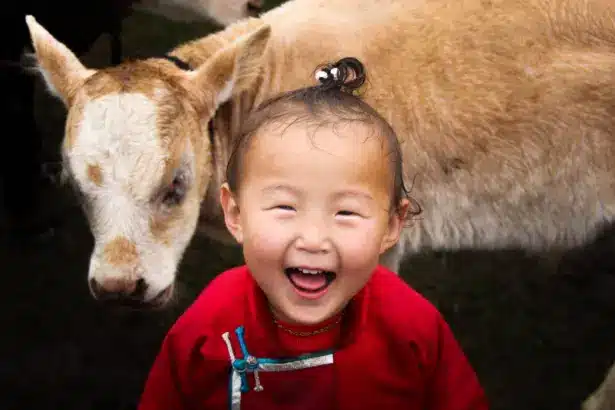 10 любопитни факта за Монголия