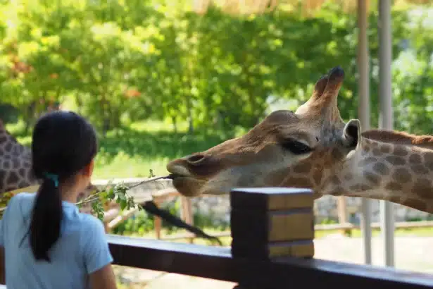 10 от най-хубавите зоологически градини