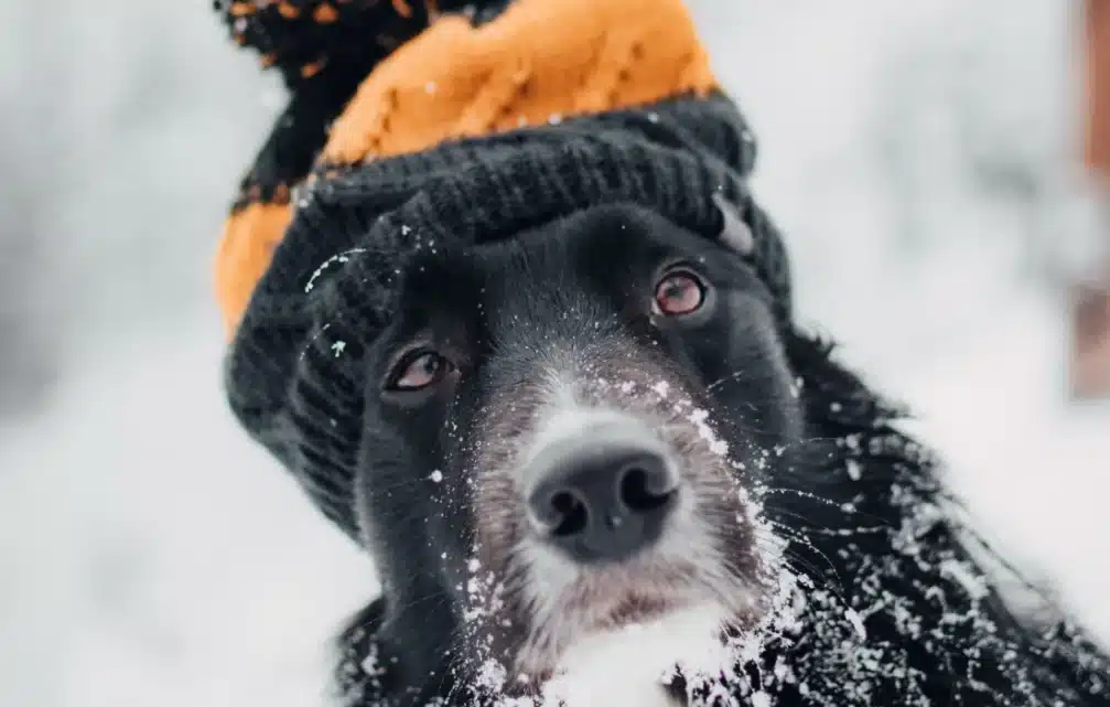  10 неща за правене единствено през зимата 