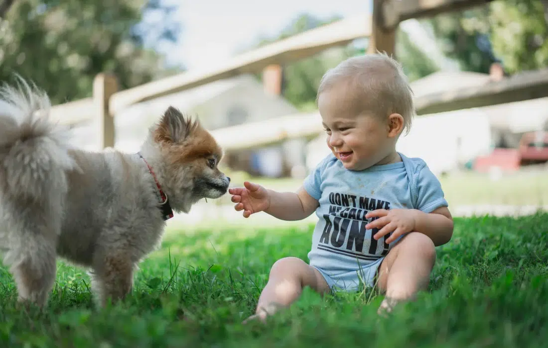 10 породи кучета, подходящи за семейства с деца