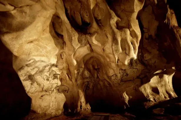 10 факта за пещерата Шове