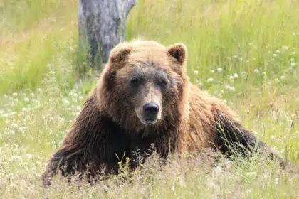 10 изречения = история: Научна суматоха в Райската градина (микроразказ)