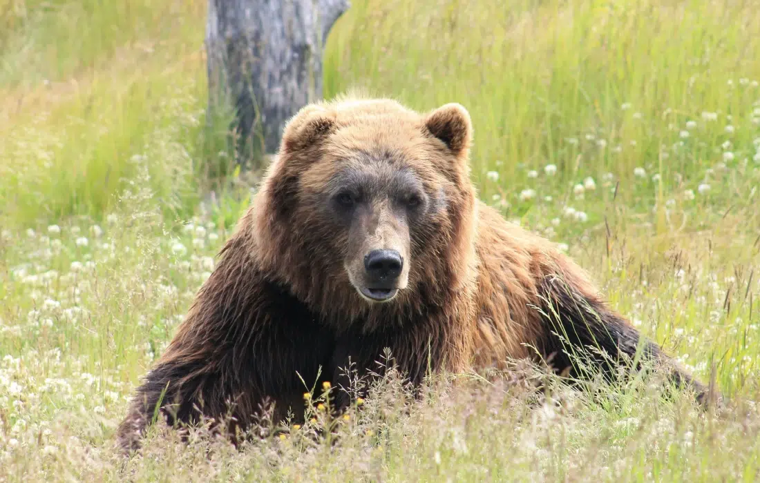 10 изречения = история: Научна суматоха в Райската градина (микроразказ)