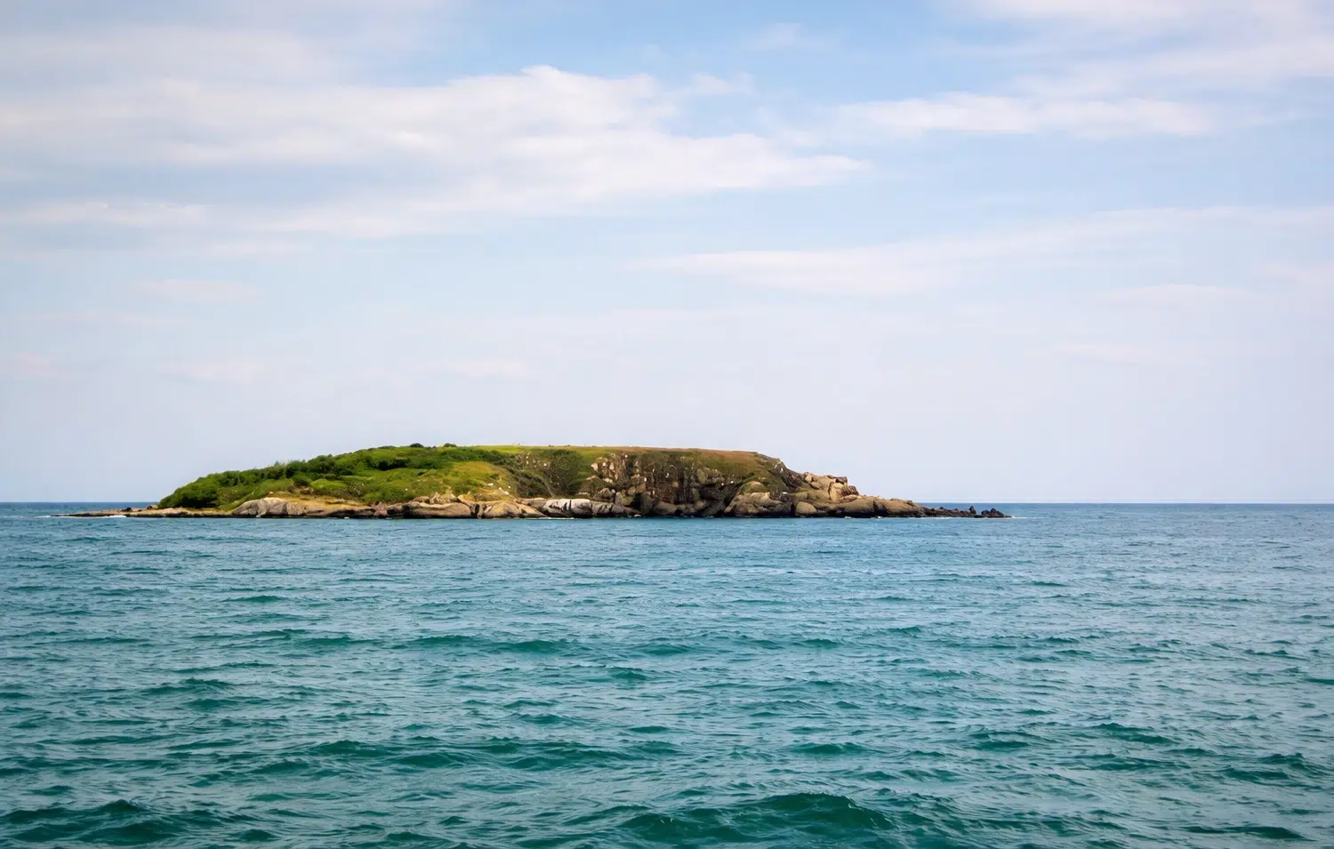 10 изречения = история: Кактусови плодчета (микроразказ)